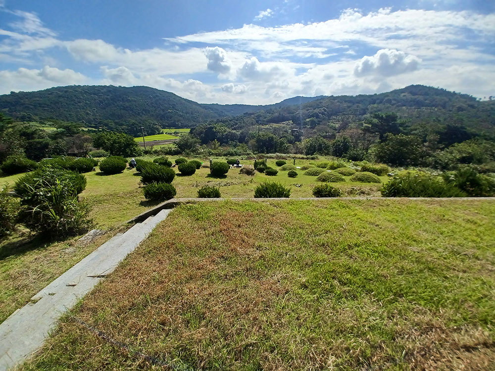 230922월야선영벌초 (5)축소.jpg
