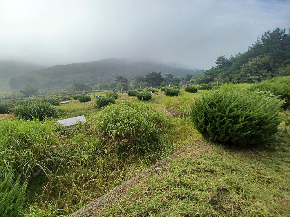 230922월야선영벌초 (4)축소.jpg