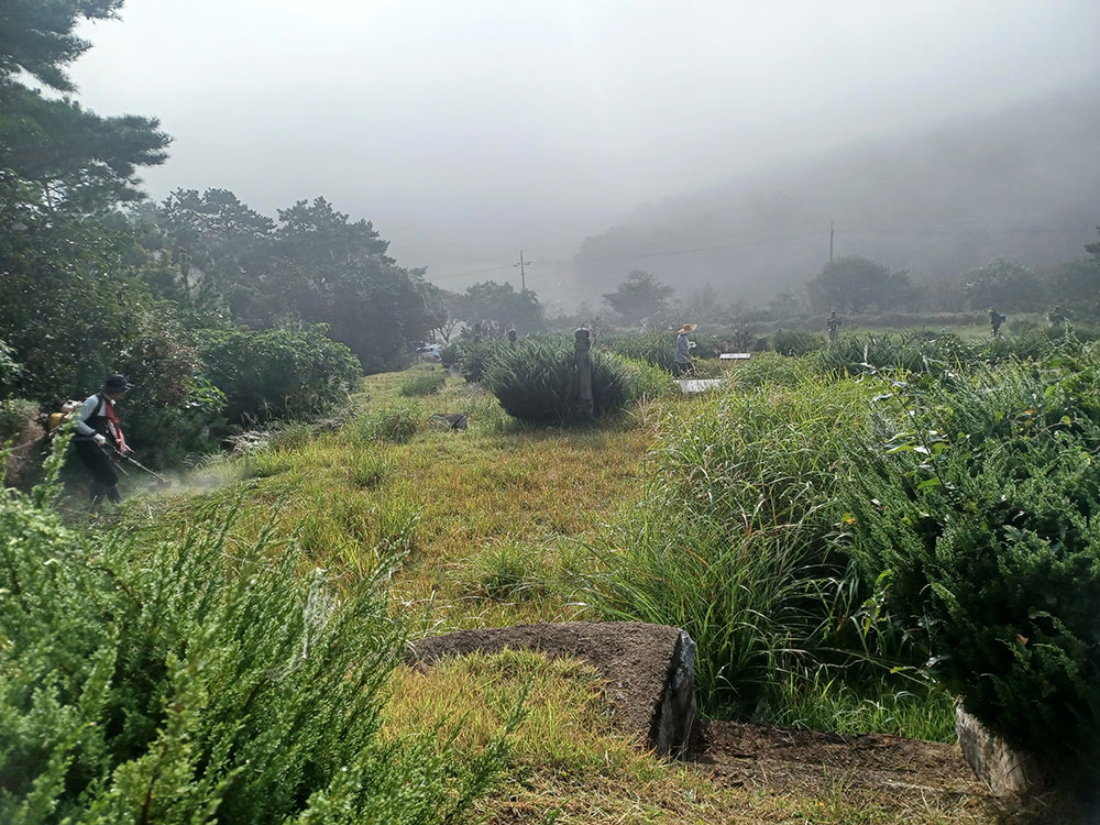 230922월야선영벌초 (2)축소.jpg